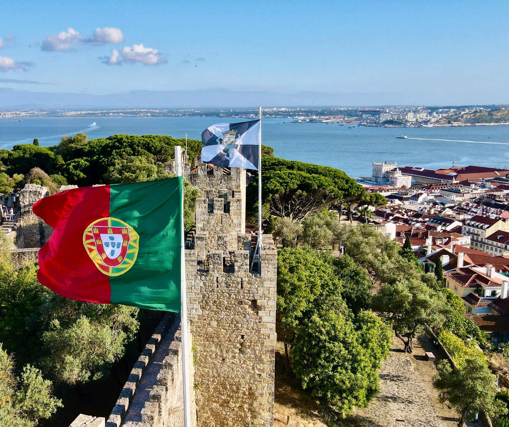 Les racines : l’école de la vie