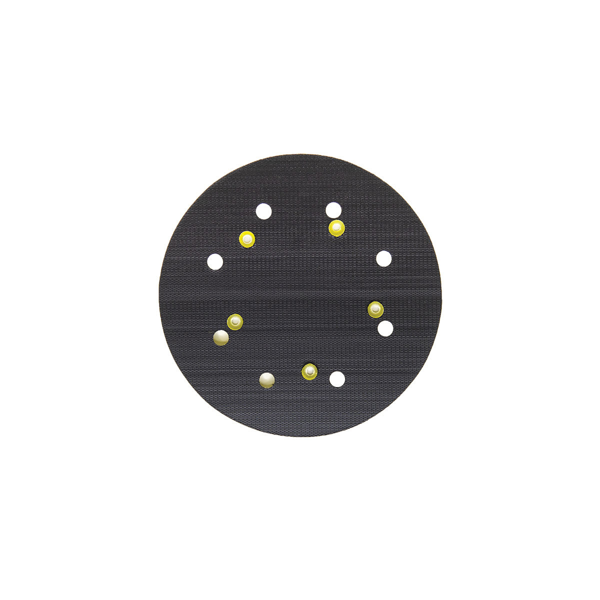 Backup Pad 8" 5/6" + M8